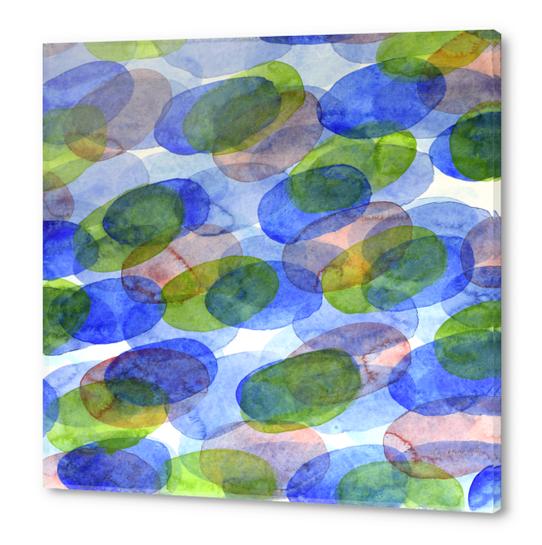 Green Blue Red Ovals Acrylic prints by Heidi Capitaine