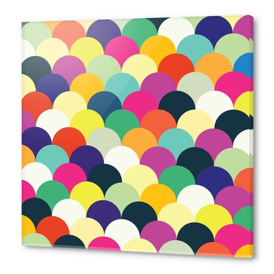 Colorful Circles  Acrylic prints by Amir Faysal