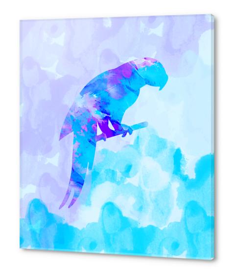Abstract Parrot Acrylic prints by Amir Faysal