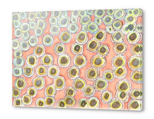 Simple Pastel Circle Pattern with Gold   Acrylic prints by Heidi Capitaine