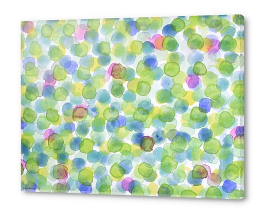 Dotted Summer Pattern Acrylic prints by Heidi Capitaine