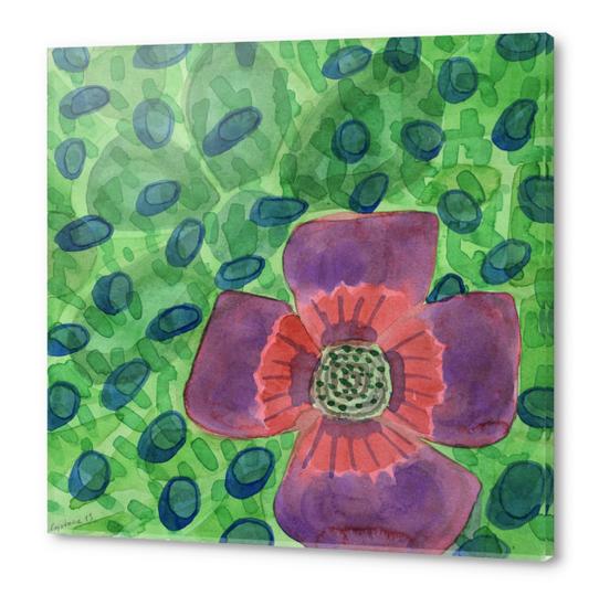 Single Purple Flower Acrylic prints by Heidi Capitaine
