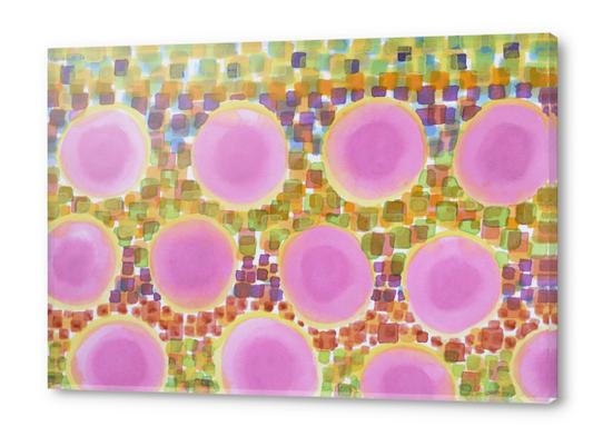 Pink Soft Circles Acrylic prints by Heidi Capitaine
