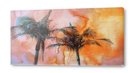 Palm Trees 2 Acrylic prints by Irena Orlov