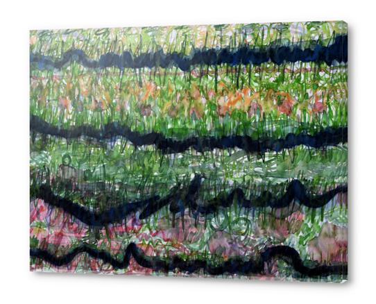 Humid Meadow with Wildflowers Acrylic prints by Heidi Capitaine