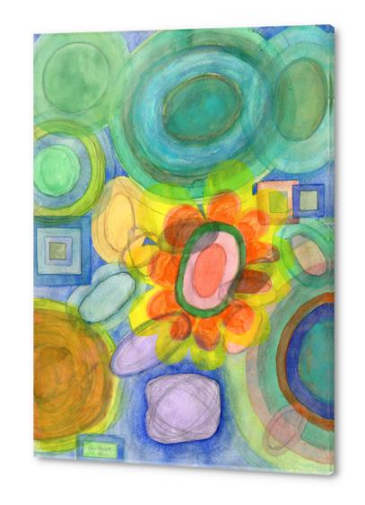 A closer Look at the Flower  Universe  Acrylic prints by Heidi Capitaine