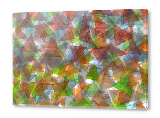 Triangle Jungle  Acrylic prints by Heidi Capitaine