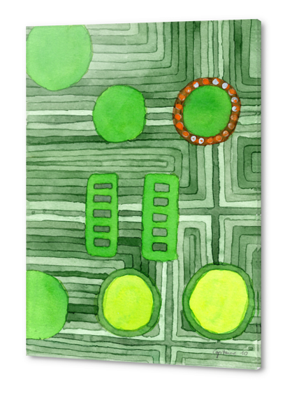 Embedded in Green  Acrylic prints by Heidi Capitaine