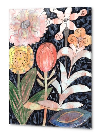 Mixed Flowers with Tulip on Black  Acrylic prints by Heidi Capitaine