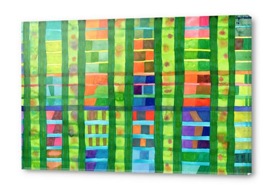 Colored Fields With Bamboo  Acrylic prints by Heidi Capitaine