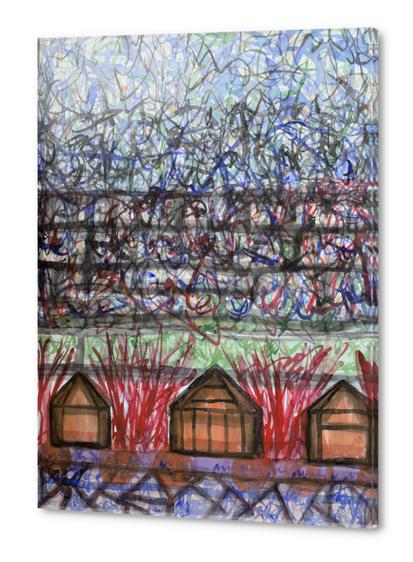 Three Cabins under Red Bushes Acrylic prints by Heidi Capitaine