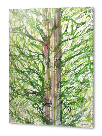 This is not a Tree Acrylic prints by Heidi Capitaine