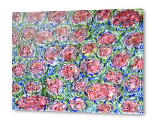 Bed Of Roses Acrylic prints by Heidi Capitaine