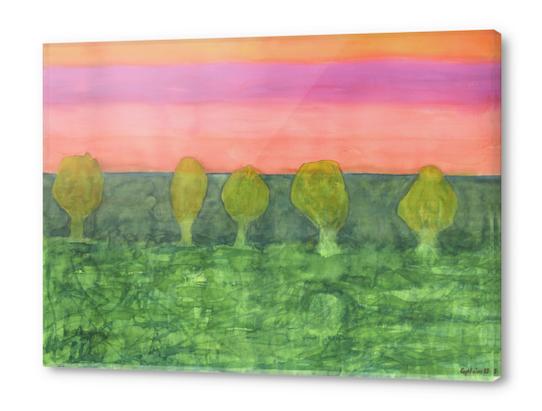 Trees, Green and Evening Sky Acrylic prints by Heidi Capitaine