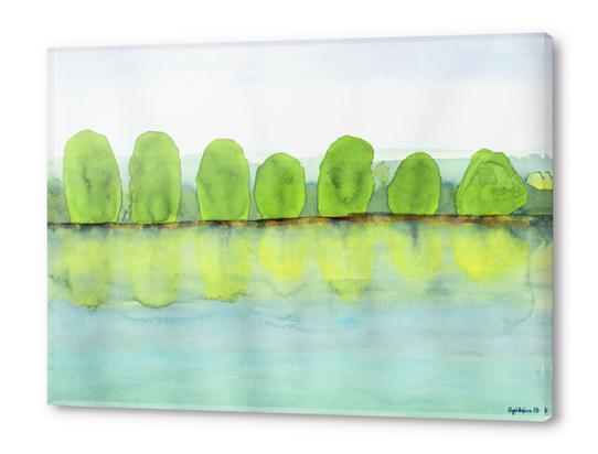Trees Refecting On The Water  Acrylic prints by Heidi Capitaine