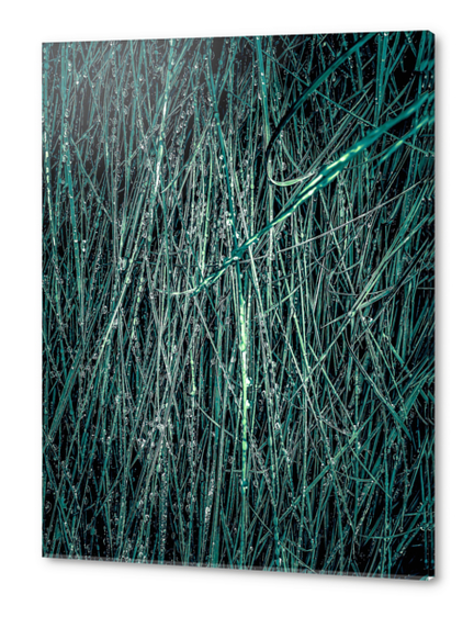 green silky grass texture abstract Acrylic prints by Timmy333