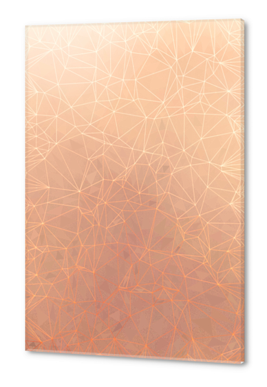 fractal geometric line pattern abstract art in brown Acrylic prints by Timmy333