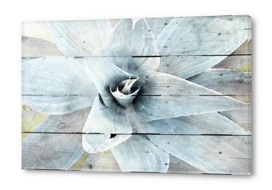 A new begining Acrylic prints by Irena Orlov