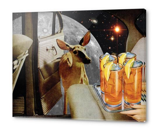 Oh, deer! Acrylic prints by Lerson