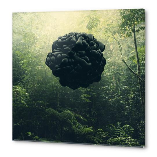 Blacks Acrylic prints by Eugene Soloviev