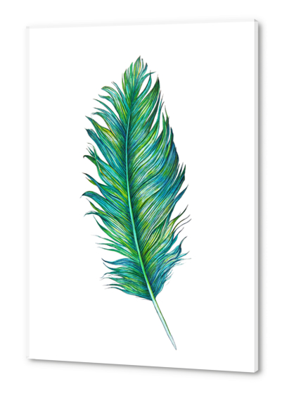 Blue Feather Acrylic prints by Nika_Akin