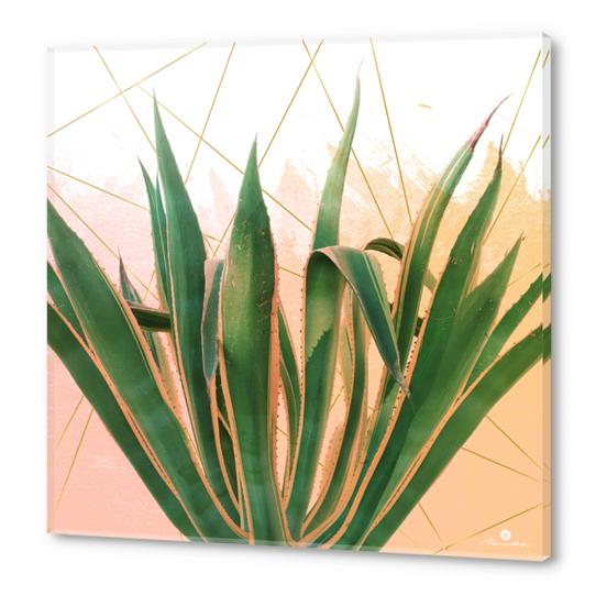 Cactus with geometric Acrylic prints by mmartabc