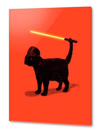 Cat Vader Acrylic prints by Nicebleed