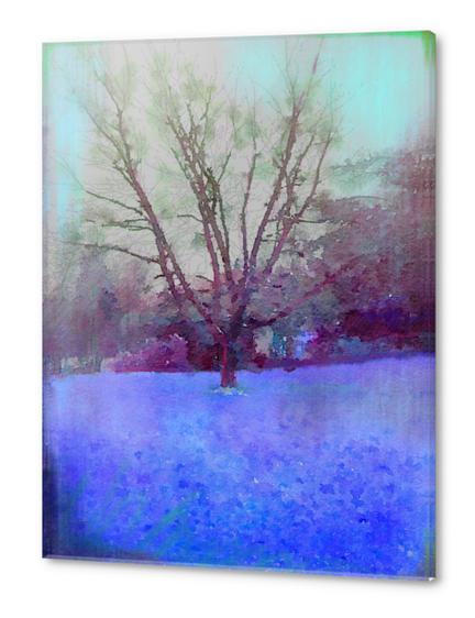Cerisier en hiver Acrylic prints by Malixx