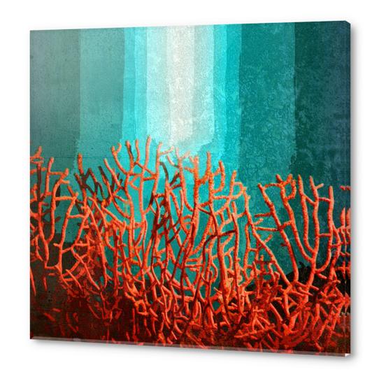 Red Coral Acrylic prints by Malixx