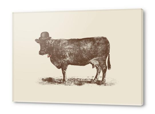 Cow Cow Nut Acrylic prints by Florent Bodart - Speakerine