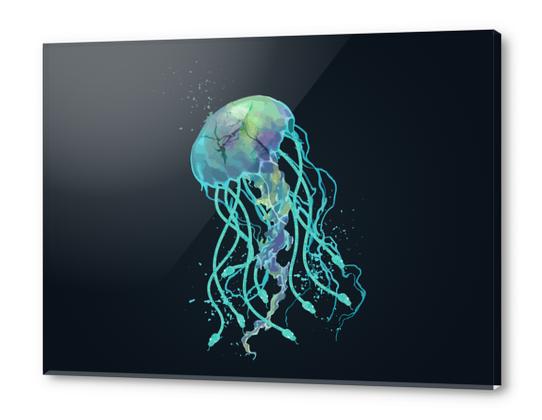 Medusa Acrylic prints by daniac