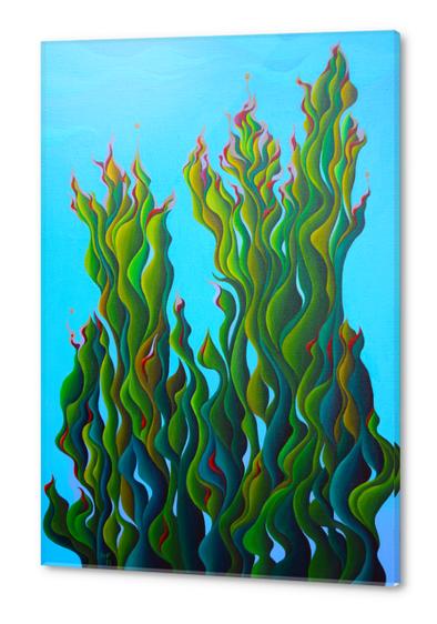 Cypressing a Wave Acrylic prints by Amy Ferrari Art