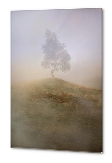 Loneliness at foggy dawn Acrylic prints by Jarek Blaminsky
