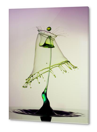 In Green Acrylic prints by Jarek Blaminsky