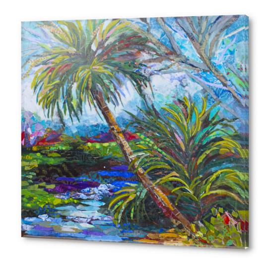Wekiva River Palms Acrylic prints by Elizabeth St. Hilaire