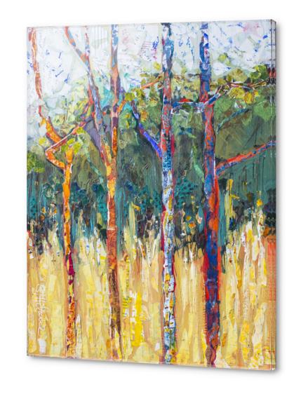 Tree Family Acrylic prints by Elizabeth St. Hilaire