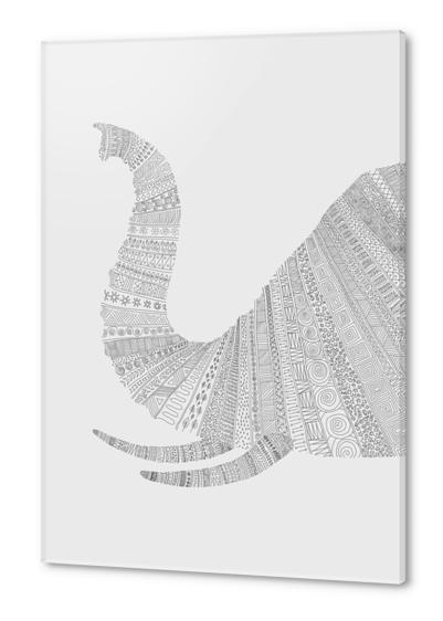 Elephant (on grey) Acrylic prints by Florent Bodart - Speakerine