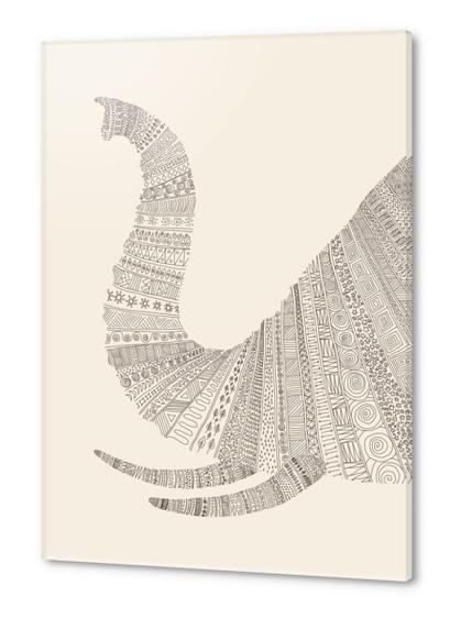 Elephant (on beige) Acrylic prints by Florent Bodart - Speakerine