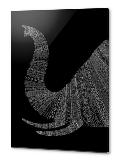 Elephant (on black) Acrylic prints by Florent Bodart - Speakerine