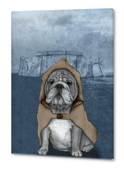 English Bulldog With Stonehenge Acrylic prints by Barruf