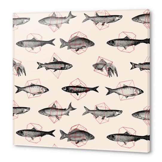 Fishes In Geometrics Acrylic prints by Florent Bodart - Speakerine