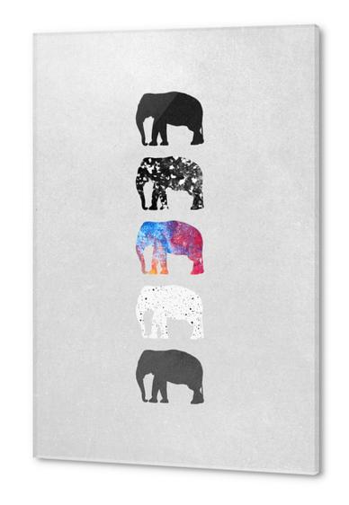 Five elephants Acrylic prints by Elisabeth Fredriksson
