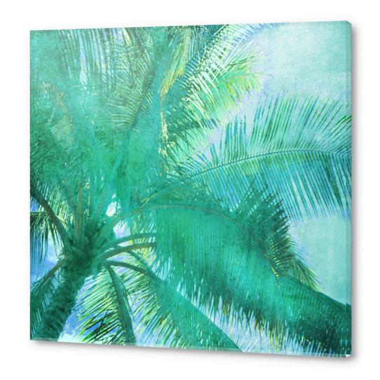 Green Lines Acrylic prints by Irena Orlov