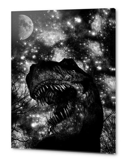 RAWR Acrylic prints by TenTimesKarma