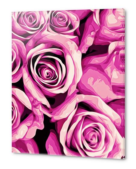 pink roses texture background Acrylic prints by Timmy333
