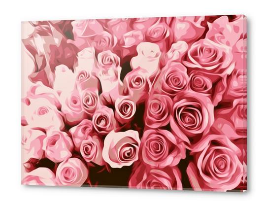 fresh pink roses texture background Acrylic prints by Timmy333