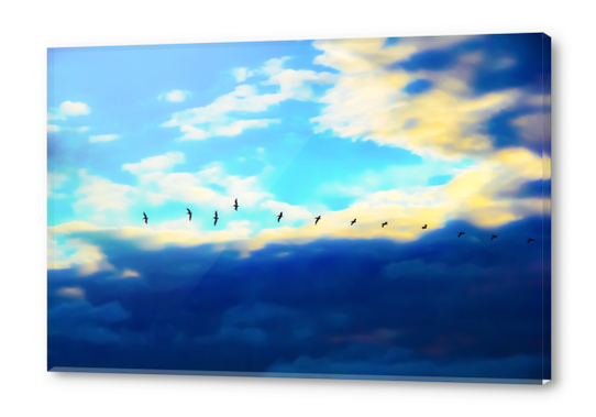 birds flying over with blue cloudy sky Acrylic prints by Timmy333