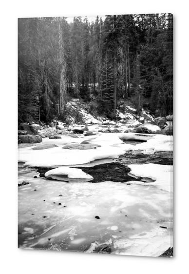 Sequoia national park, USA in black and white Acrylic prints by Timmy333
