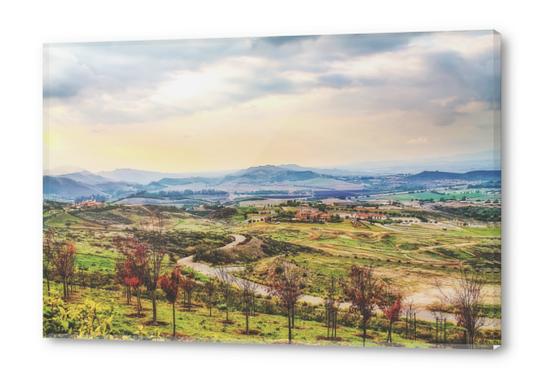 summer sunlight with cloudy sky and rural view Acrylic prints by Timmy333