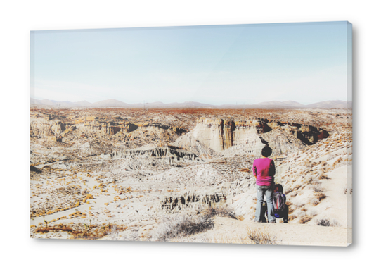 enjoy desert view in summer at Red Rock Canyon, California, USA Acrylic prints by Timmy333